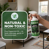 Spider Repellent