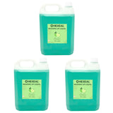 Apple Washing Up Liquid