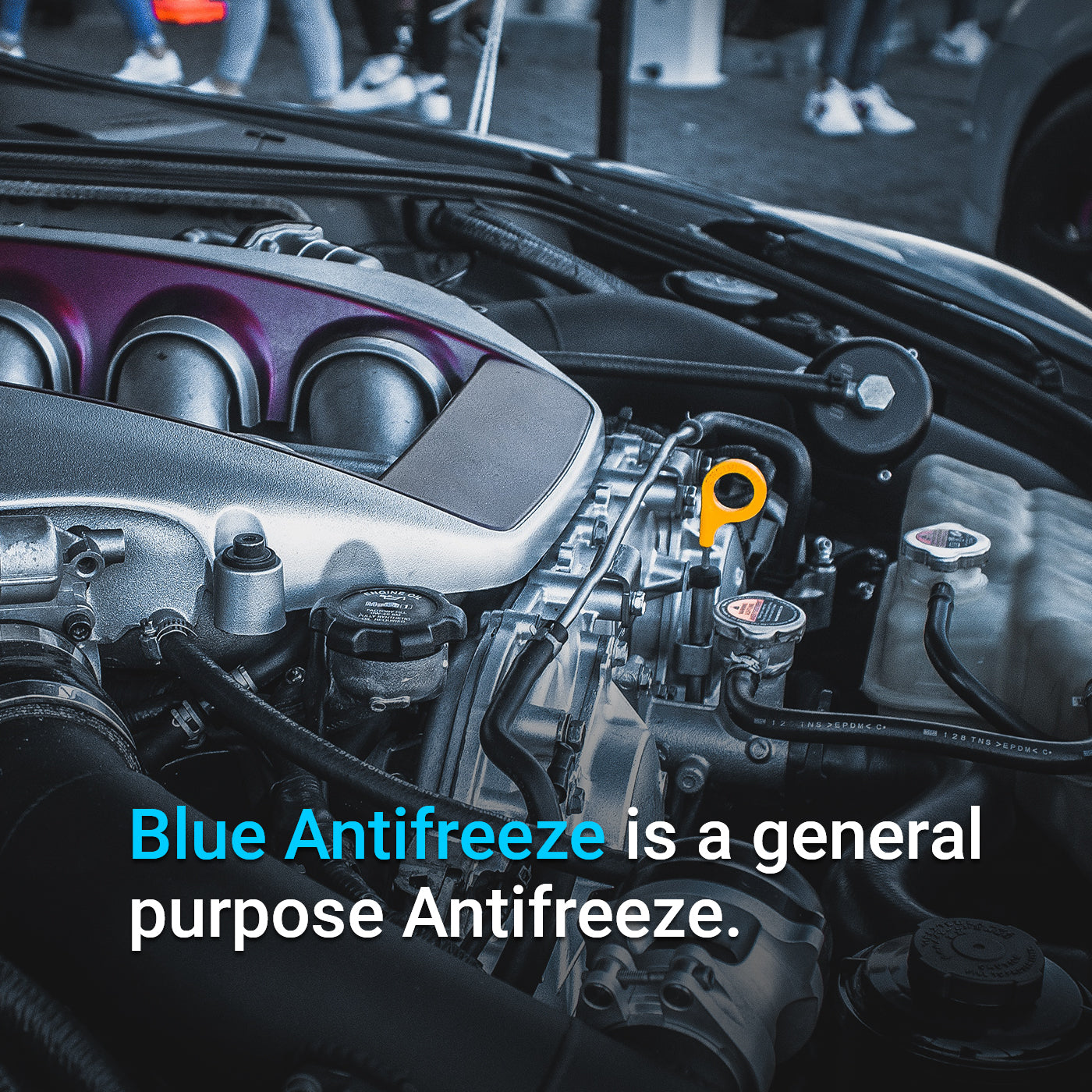 Blue Antifreeze & Coolant Hexeal